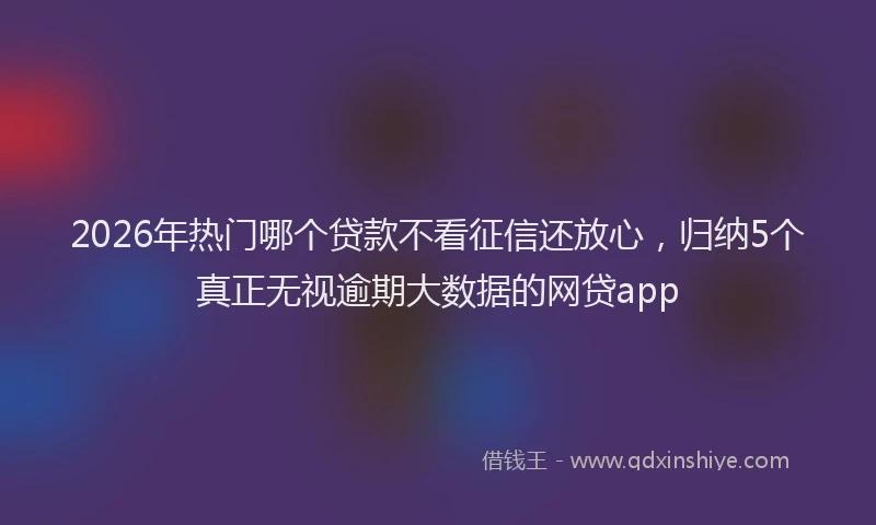 2026年热门哪个贷款不看征信还放心，归纳5个真正无视逾期大数据的网贷app