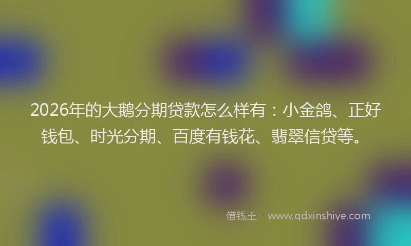 2026年的大鹅分期贷款怎么样有：小金鸽、正好钱包、时光分期、百度有钱花、翡翠信贷等。