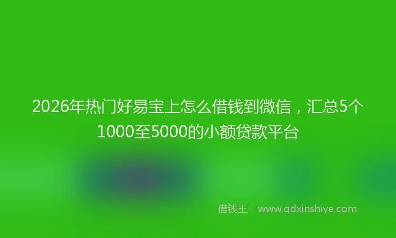 2026年热门好易宝上怎么借钱到微信，汇总5个1000至5000的小额贷款平台