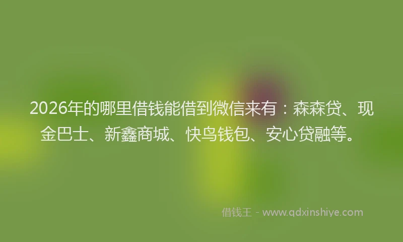 2026年的哪里借钱能借到微信来有：森森贷、现金巴士、新鑫商城、快鸟钱包、安心贷融等。
