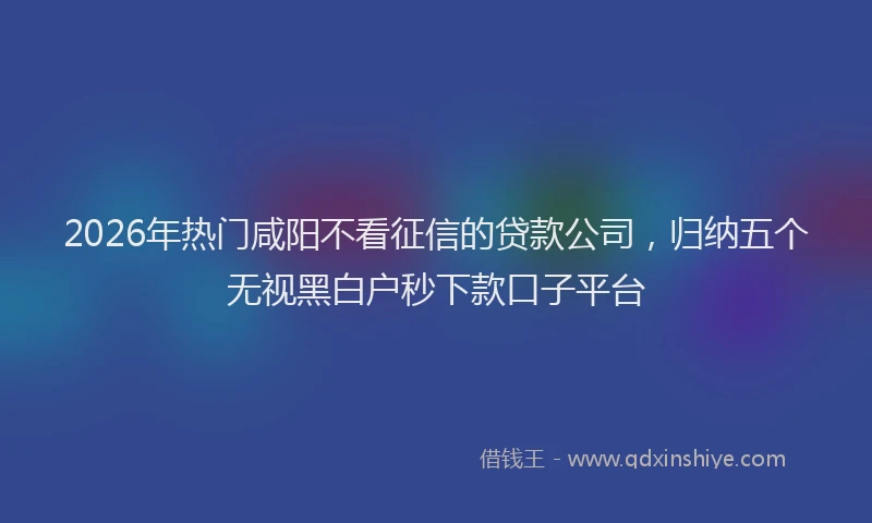2026年热门咸阳不看征信的贷款公司，归纳五个无视黑白户秒下款口子平台