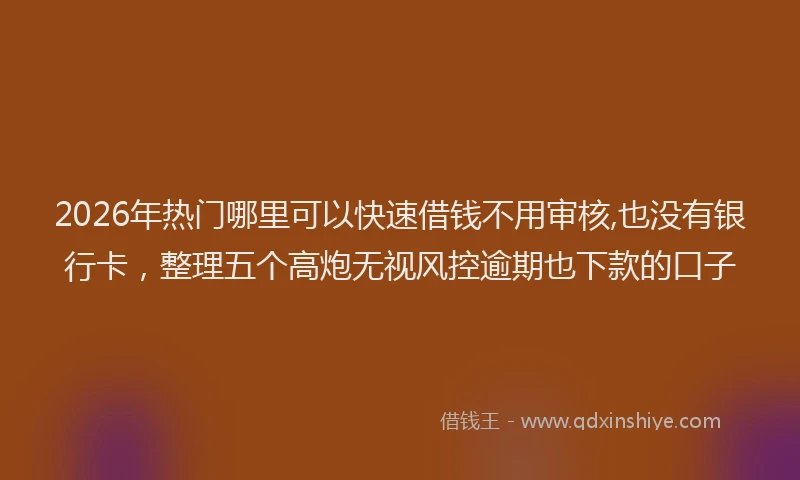 2026年热门哪里可以快速借钱不用审核,也没有银行卡，整理五个高炮无视风控逾期也下款的口子