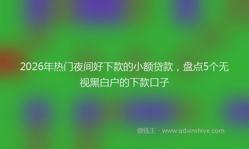 2026年热门夜间好下款的小额贷款，盘点5个无视黑白户的下款口子
