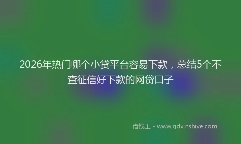 2026年热门哪个小贷平台容易下款，总结5个不查征信好下款的网贷口子