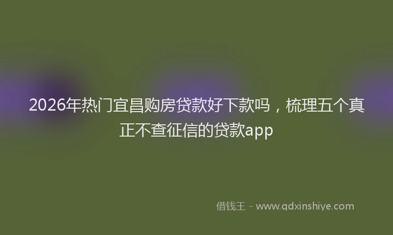 2026年热门宜昌购房贷款好下款吗,梳理五个真正不查征信的贷款app