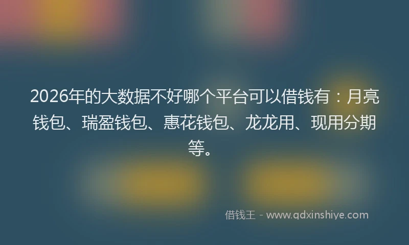 2026年的大数据不好哪个平台可以借钱有：月亮钱包、瑞盈钱包、惠花钱包、龙龙用、现用分期等。