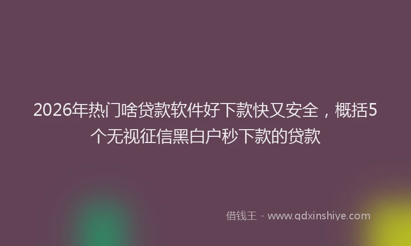 2026年热门啥贷款软件好下款快又安全，概括5个无视征信黑白户秒下款的贷款