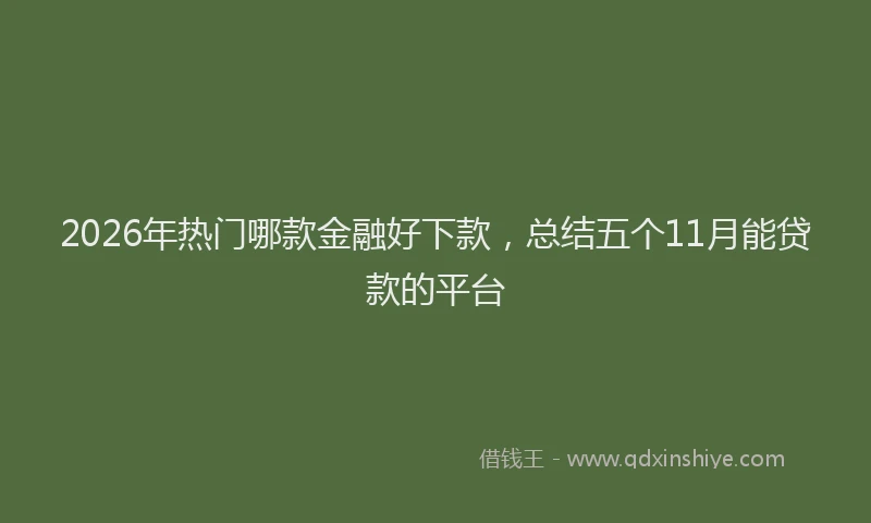2026年热门哪款金融好下款，总结五个11月能贷款的平台
