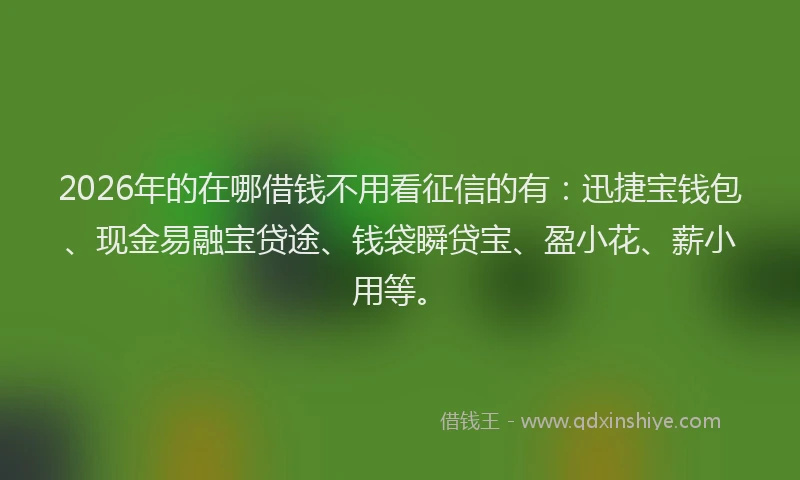 2026年的在哪借钱不用看征信的有：迅捷宝钱包、现金易融宝贷途、钱袋瞬贷宝、盈小花、薪小用等。