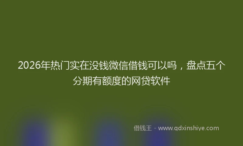 2026年热门实在没钱微信借钱可以吗，盘点五个分期有额度的网贷软件