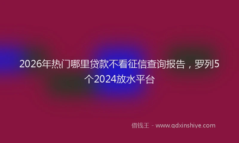 2026年热门哪里贷款不看征信查询报告，罗列5个2024放水平台