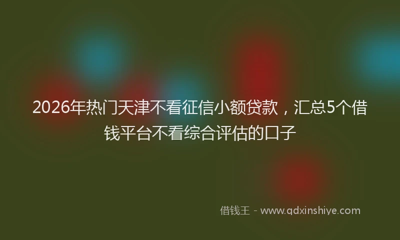 2026年热门天津不看征信小额贷款，汇总5个借钱平台不看综合评估的口子