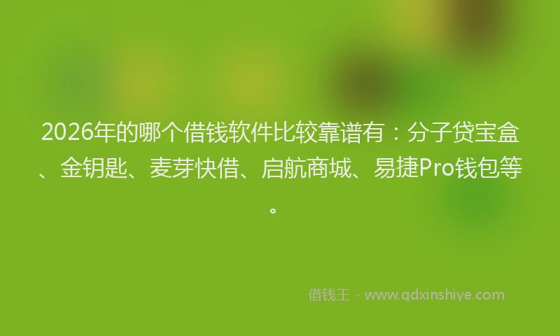 2026年的哪个借钱软件比较靠谱有：分子贷宝盒、金钥匙、麦芽快借、启航商城、易捷Pro钱包等。