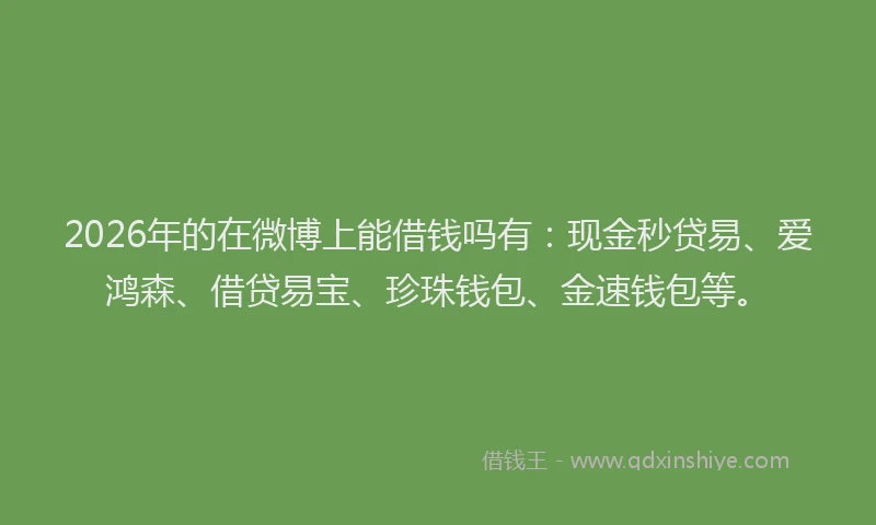 2026年的在微博上能借钱吗有：现金秒贷易、爱鸿森、借贷易宝、珍珠钱包、金速钱包等。