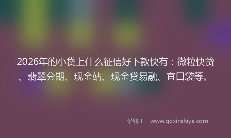 2026年的小贷上什么征信好下款快有：微粒快贷、翡翠分期、现金站、现金贷易融、宜口袋等。