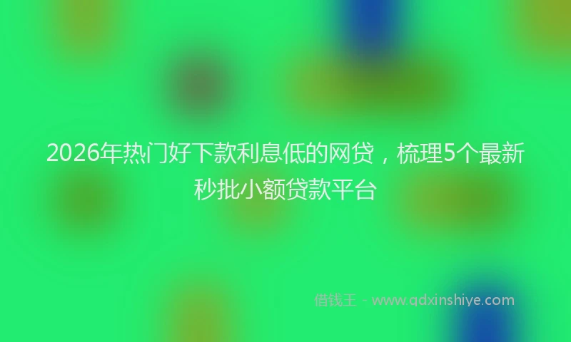 2026年热门好下款利息低的网贷，梳理5个最新秒批小额贷款平台