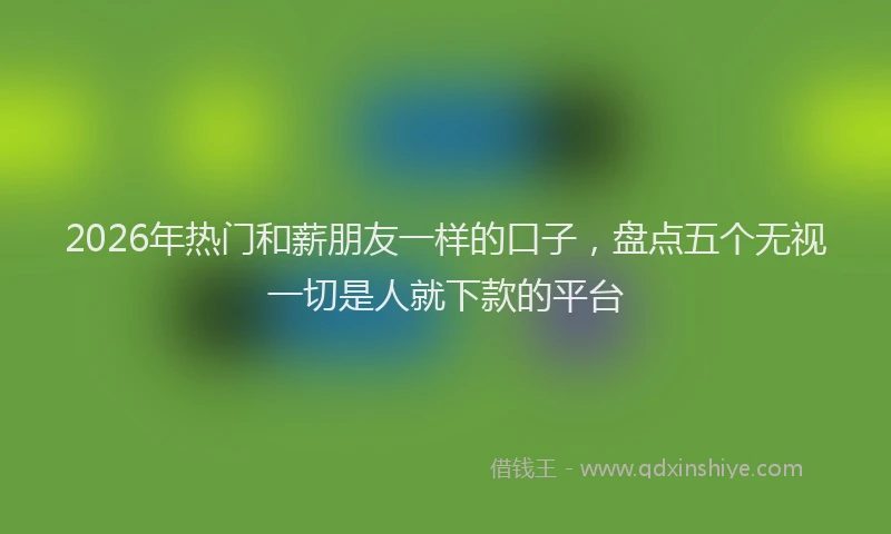 2026年热门和薪朋友一样的口子，盘点五个无视一切是人就下款的平台