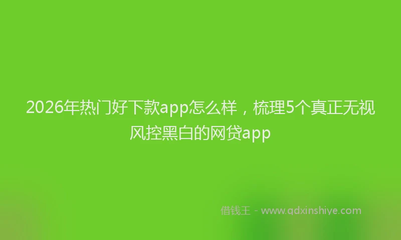 2026年热门好下款app怎么样，梳理5个真正无视风控黑白的网贷app