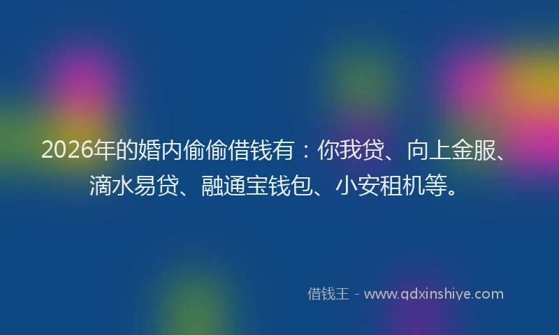 2026年的婚内偷偷借钱有：你我贷、向上金服、滴水易贷、融通宝钱包、小安租机等。