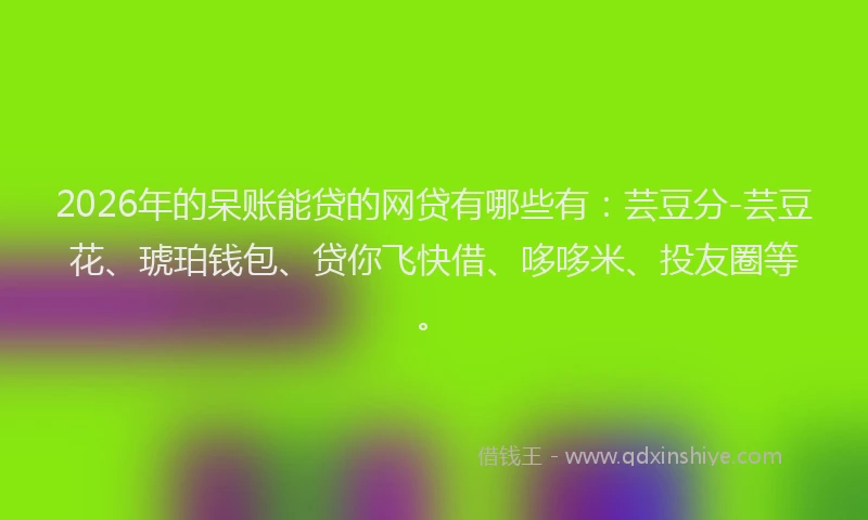 2026年的呆账能贷的网贷有哪些有：芸豆分-芸豆花、琥珀钱包、贷你飞快借、哆哆米、投友圈等。