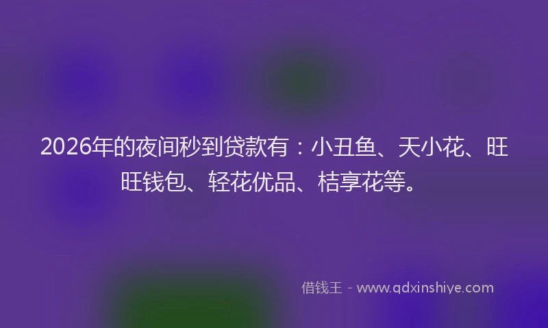 2026年的夜间秒到贷款有：小丑鱼、天小花、旺旺钱包、轻花优品、桔享花等。
