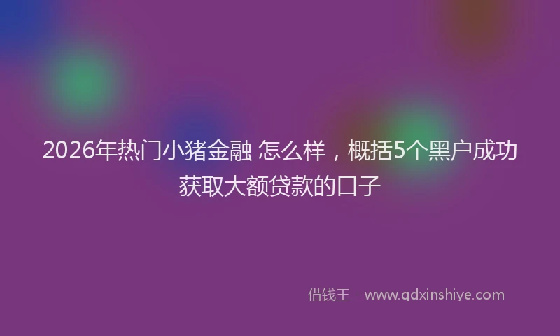 2026年热门小猪金融 怎么样，概括5个黑户成功获取大额贷款的口子