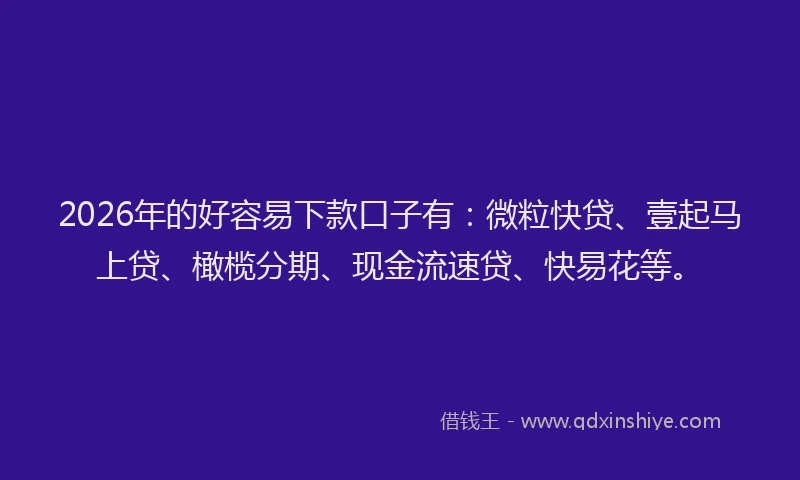 2026年的好容易下款口子有：微粒快贷、壹起马上贷、橄榄分期、现金流速贷、快易花等。