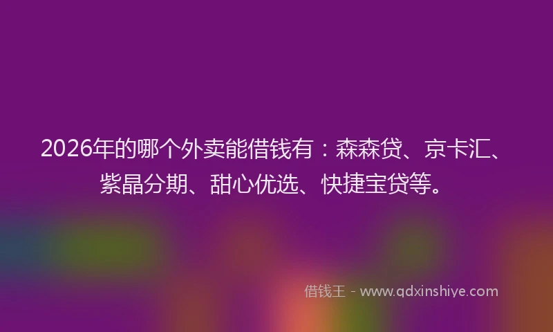 2026年的哪个外卖能借钱有：森森贷、京卡汇、紫晶分期、甜心优选、快捷宝贷等。