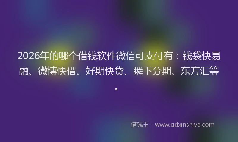 2026年的哪个借钱软件微信可支付有：钱袋快易融、微博快借、好期快贷、瞬下分期、东方汇等。