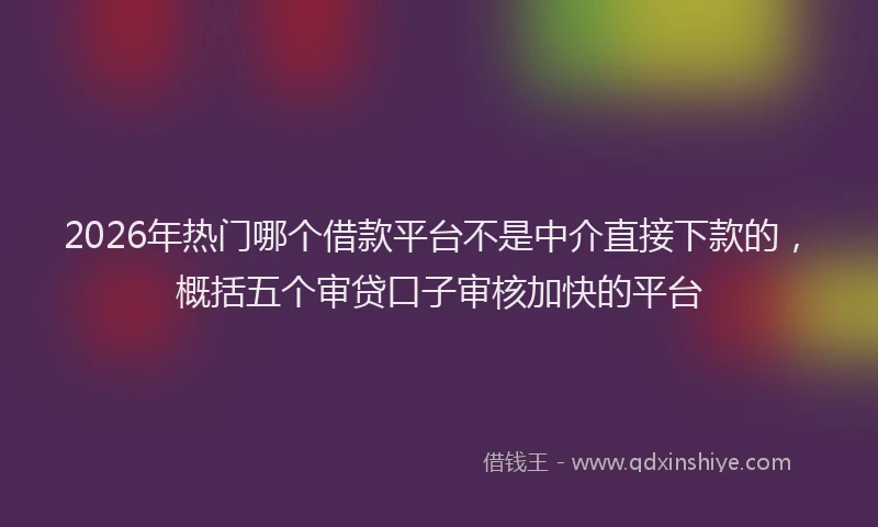 2026年热门哪个借款平台不是中介直接下款的，概括五个审贷口子审核加快的平台
