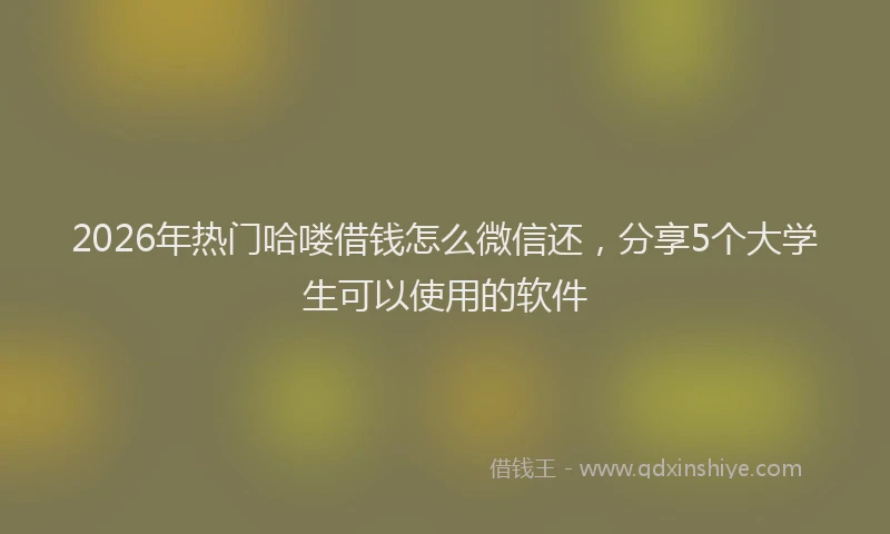 2026年热门哈喽借钱怎么微信还，分享5个大学生可以使用的软件