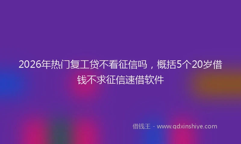 2026年热门复工贷不看征信吗，概括5个20岁借钱不求征信速借软件