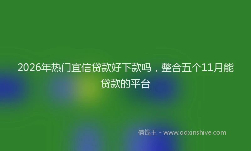 2026年热门宜信贷款好下款吗，整合五个11月能贷款的平台