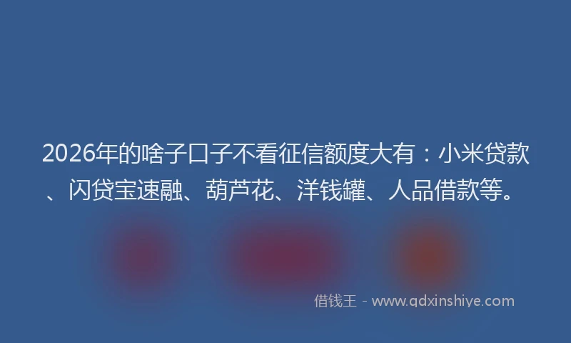 2026年的啥子口子不看征信额度大有：小米贷款、闪贷宝速融、葫芦花、洋钱罐、人品借款等。