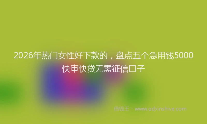 2026年热门女性好下款的，盘点五个急用钱5000快审快贷无需征信口子