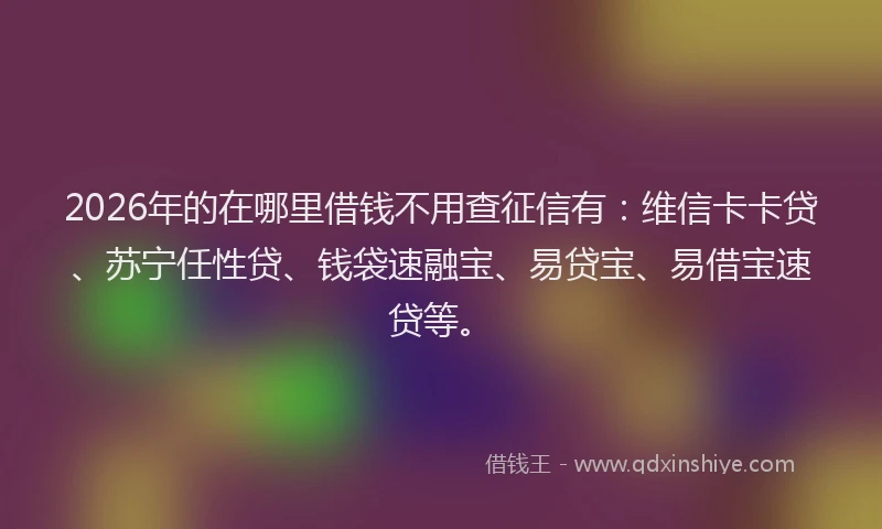 2026年的在哪里借钱不用查征信有：维信卡卡贷、苏宁任性贷、钱袋速融宝、易贷宝、易借宝速贷等。
