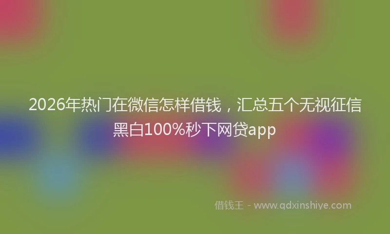 2026年热门在微信怎样借钱，汇总五个无视征信黑白100%秒下网贷app