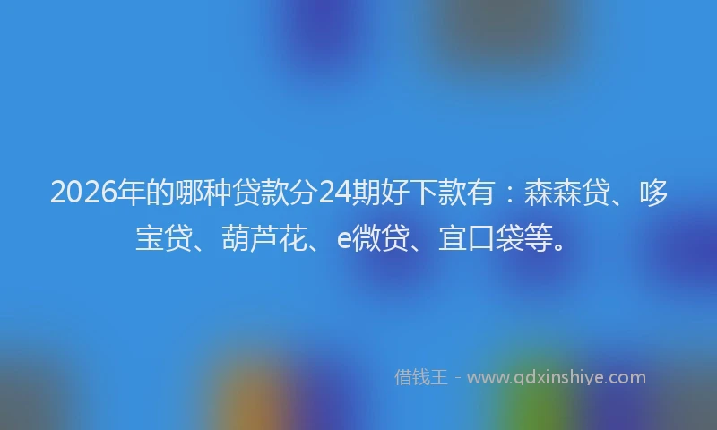 2026年的哪种贷款分24期好下款有：森森贷、哆宝贷、葫芦花、e微贷、宜口袋等。