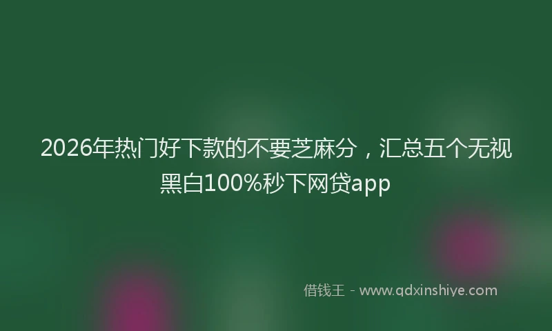 2026年热门好下款的不要芝麻分，汇总五个无视黑白100%秒下网贷app