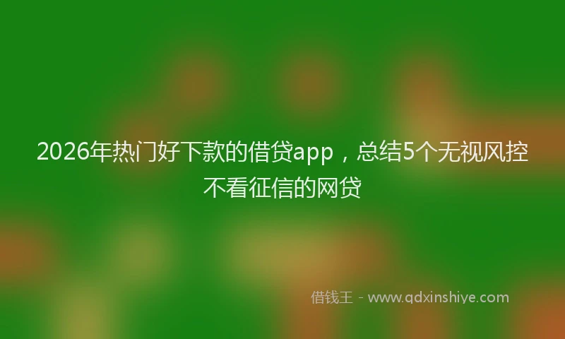 2026年热门好下款的借贷app，总结5个无视风控不看征信的网贷