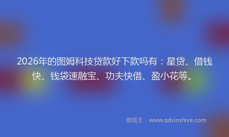 2026年的图姆科技贷款好下款吗有：星贷、借钱快、钱袋速融宝、功夫快借、盈小花等。