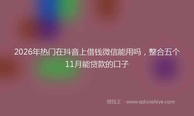 2026年热门在抖音上借钱微信能用吗，整合五个11月能贷款的口子