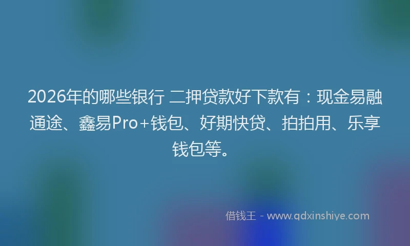 2026年的哪些银行 二押贷款好下款有：现金易融通途、鑫易Pro+钱包、好期快贷、拍拍用、乐享钱包等。