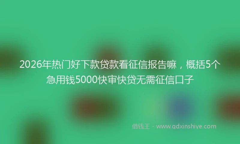 2026年热门好下款贷款看征信报告嘛，概括5个急用钱5000快审快贷无需征信口子