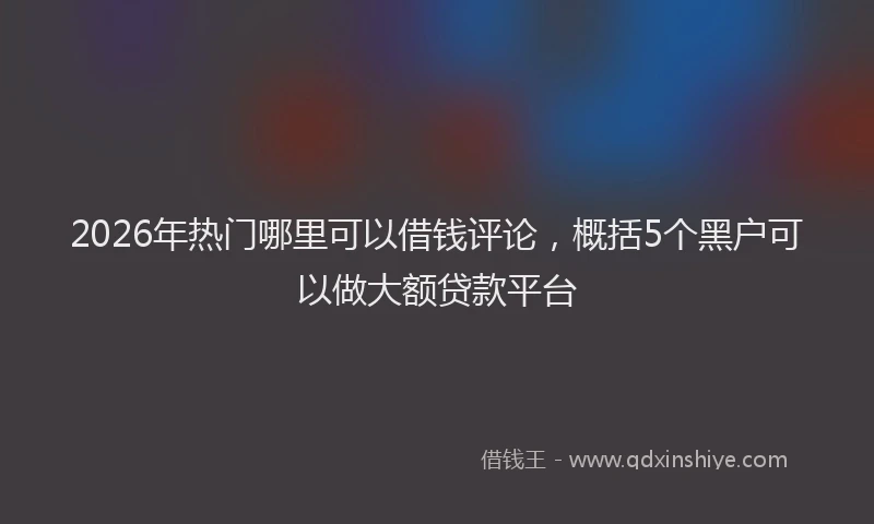 2026年热门哪里可以借钱评论，概括5个黑户可以做大额贷款平台