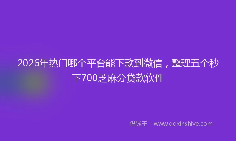 2026年热门哪个平台能下款到微信，整理五个秒下700芝麻分贷款软件