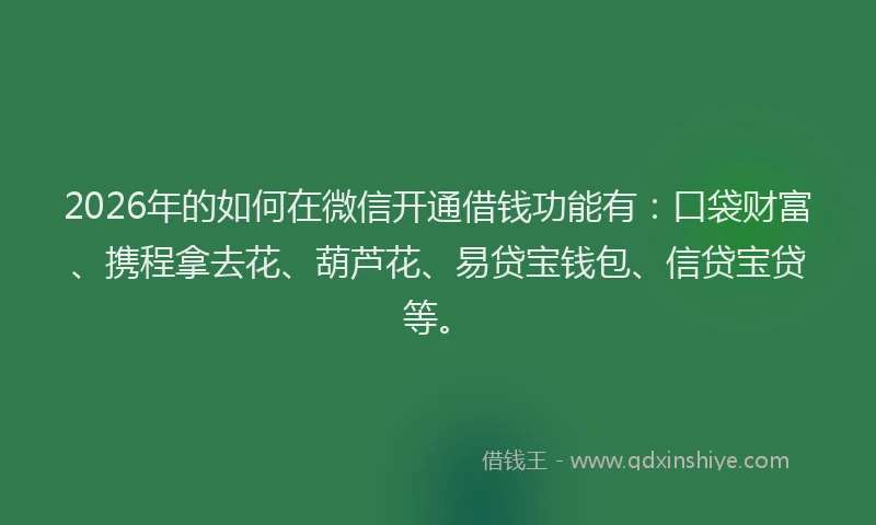 2026年的如何在微信开通借钱功能有:口袋财富、携程拿去花、葫芦花、易贷宝钱包、信贷宝贷等。