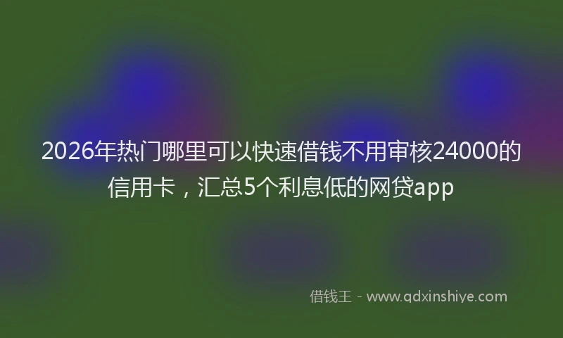 2026年热门哪里可以快速借钱不用审核24000的信用卡，汇总5个利息低的网贷app