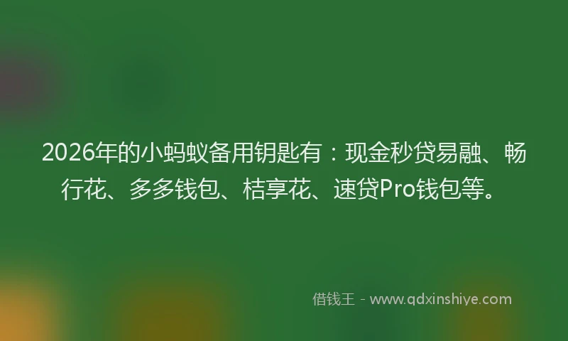 2026年的小蚂蚁备用钥匙有:现金秒贷易融、畅行花、多多钱包、桔享花、速贷Pro钱包等。