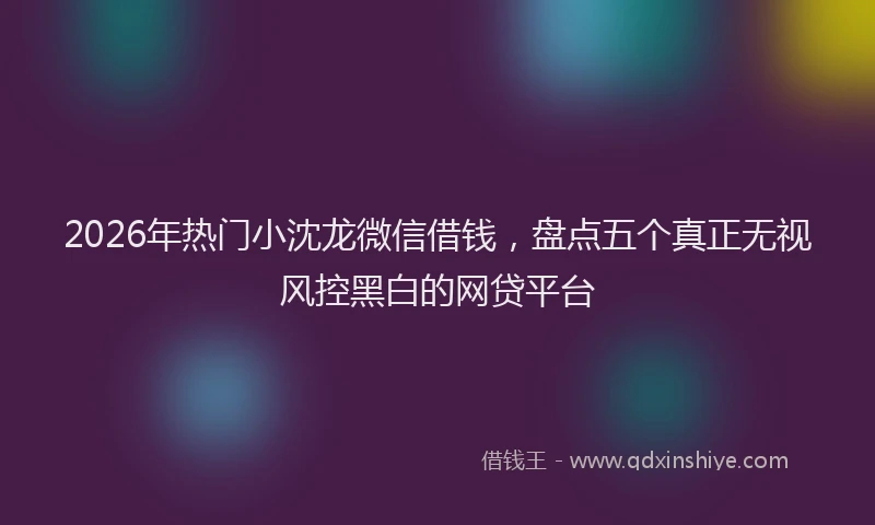2026年热门小沈龙微信借钱，盘点五个真正无视风控黑白的网贷平台